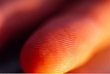 科隆游戏展开幕之夜直播宣传片 将有多个新作公布